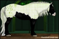 Horse Color:Watercolor Plaid Chestnut Splash Appaloosa