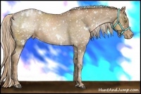 Horse Color:White Spotted Liver Chestnut Pearl Snowflake Varnish