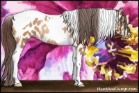 Horse Color:Amber Champagne Tobiano Near Leopard Rabicano 