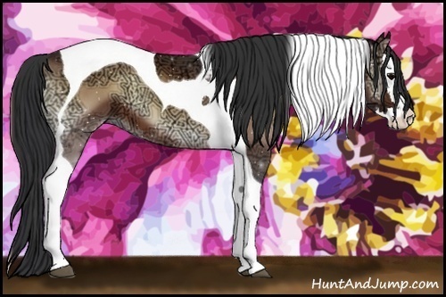 Horse Color:Bay Ice Onyx Splash Tobiano 