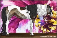 Horse Color:Bay Ice Onyx Splash Tobiano 