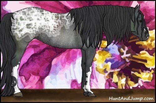 Horse Color:Black Ice Rabicano