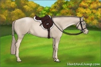 Horse Color:Chocolate Palomino Roan Pearl 