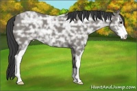 Horse Color:Smoky Grullo Ice Sabino 