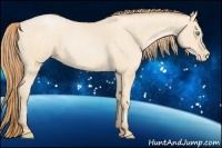 Horse Color:Buckskin Roan Pearl  and Buckskin Roan Pearl 