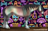 Horse Color:Bay Onyx Rabicano 