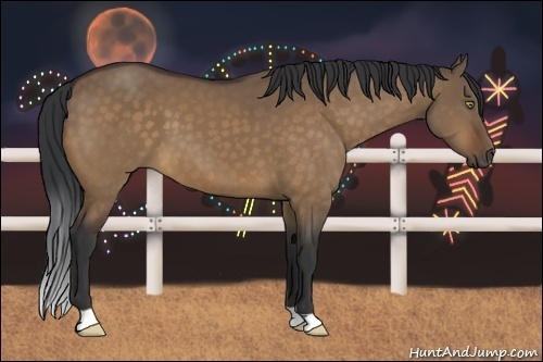Horse Color:Bay Dun