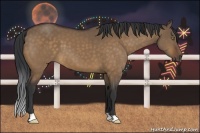 Horse Color:Bay Dun
