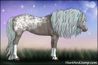 Horse Color:Painted Silver Black Ice 
