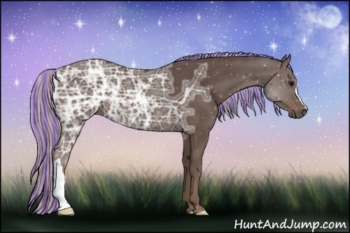 Horse Color:Painted Silver Black Ice 