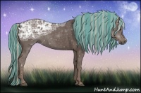Horse Color:Painted Silver Black Ice 