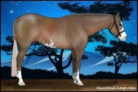 Horse Color:Silver Black Sabino 