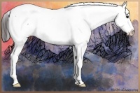 Horse Color:Brown Sabino Near Fewspot 