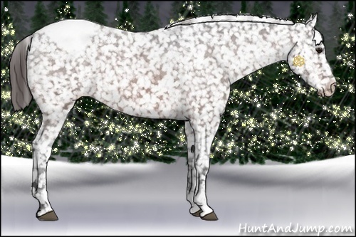 Horse Color:Bay Sabino Snowflake Varnish