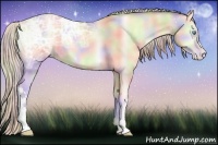 Horse Color:Nacre Gold Cream Champagne Ice Pearl Onyx 