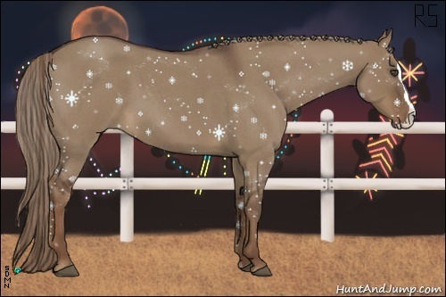 Horse Color:Liver Red Dun Roan Splash Frame Rabicano 