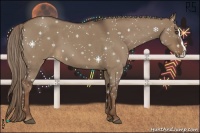 Horse Color:Liver Red Dun Roan Splash Frame Rabicano