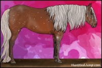 Horse Color:Silver Bay 