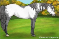 Horse Color:Black Frame Snowcap 