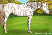 Horse Color:Brown Pearl Leopard