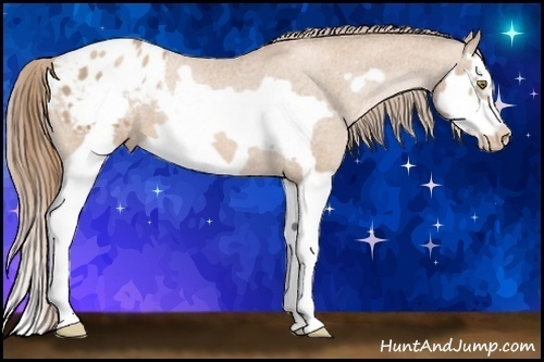 Horse Color:Chestnut Pearl Splash Frame Appaloosa 