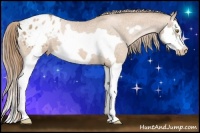 Horse Color:Chestnut Pearl Splash Frame Appaloosa 