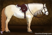 Horse Color:Red Dun Roan Splash Frame Rabicano 