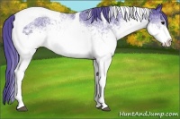 Horse Color:Watercolor White Spotted Black Tobiano Rabicano