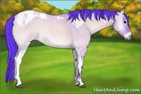 Horse Color:Watercolor Brown Roan Onyx Tobiano 