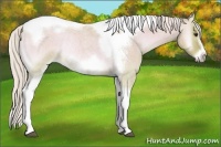 Horse Color:Watercolor Silver Bay Roan Onyx Tobiano Frame Rabicano