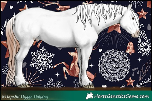 Horse Color:Brown Dun Sabino Appaloosa Rabicano 