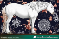 Horse Color:Brown Dun Sabino Appaloosa Rabicano 