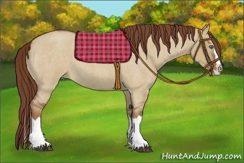 Horse Color:Red Dun Roan Splash Frame Rabicano 