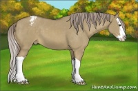 Horse Color:Chocolate Palomino Dun Splash Varnish 