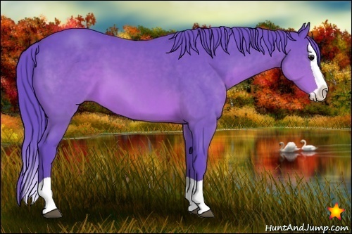 Horse Color:Watercolor Brown Splash