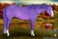 Horse Color:Watercolor Brown Splash
