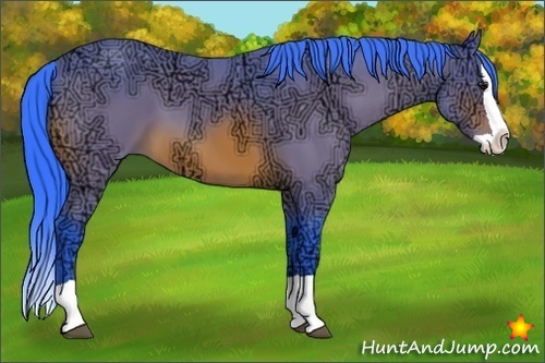 Horse Color:Watercolor Bay Ice Splash 