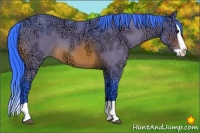 Horse Color:Watercolor Bay Ice Splash