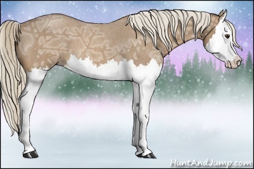 Horse Color:Palomino Ice Roan Splash 