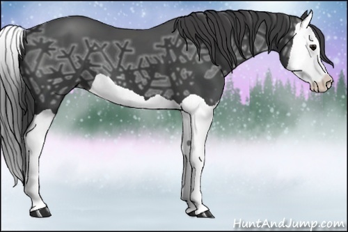 Horse Color:Smoky Black Ice Splash 