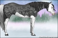 Horse Color:Smoky Black Ice Splash