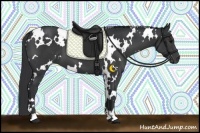 Horse Color:White Spotted Black 