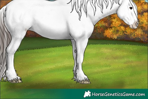 Horse Color:Brown Sabino Splash Blanket 