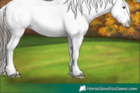 Horse Color:Brown Sabino Splash Blanket 