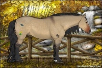 Horse Color:Bay Dun