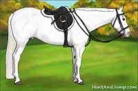Horse Color:Silver Bay Varnish 