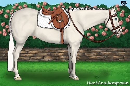 Horse Color:Cremello