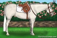 Horse Color:Cremello 