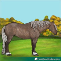 Horse Color:Silver Brown Dun Rabicano 