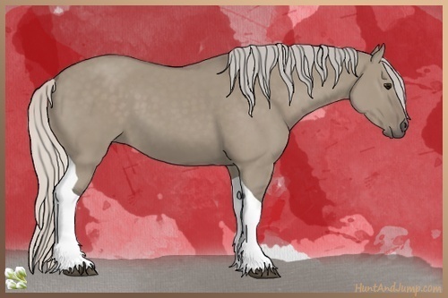 Horse Color:Silver Grullo Tobiano